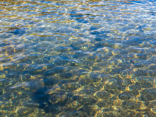 冬の川の流れ26