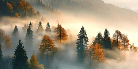 Poster Mistig bos Beauty of nature in the mountains during autumn showcases fog engulfing tree silhouettes and crowns. Experience the enchanting beauty of trees in the haze on a foggy morning in the forested landscape.  © Nijat