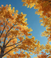 Fototapeta premium Orange and yellow autumn leaves on a clear blue day, outdoor photography, autumn colors