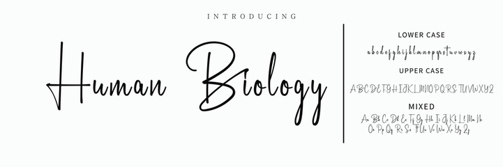 Hand drawn vector alphabet. Modern monoline signature script font. Elegant Signature Font. Best Alphabet Beautiful Calligraphy Signature Font lettering