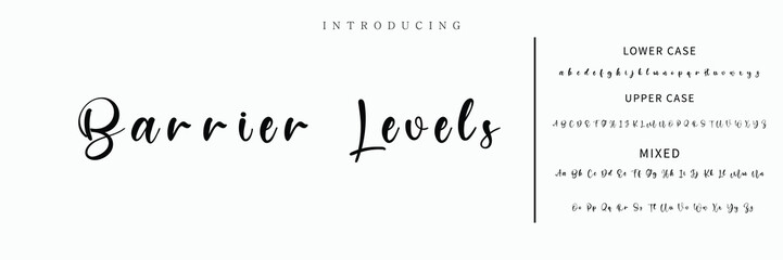 Hand drawn vector alphabet. Modern monoline signature script font. Elegant Signature Font. Best Alphabet Beautiful Calligraphy Signature Font lettering