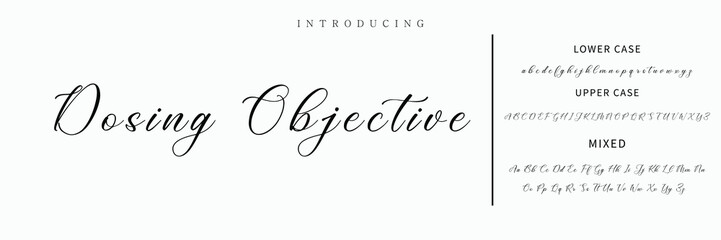 Hand drawn vector alphabet. Modern monoline signature script font. Elegant Signature Font. Best Alphabet Beautiful Calligraphy Signature Font lettering