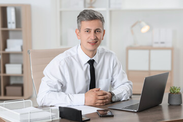 Fototapeta premium Portrait of businessman at table in office