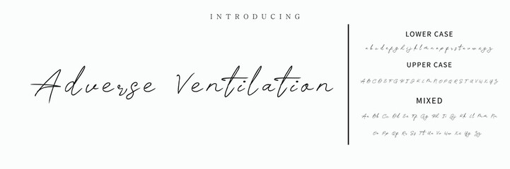 Hand drawn vector alphabet. Modern monoline signature script font. Elegant Signature Font. Best Alphabet Beautiful Calligraphy Signature Font lettering