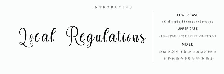 Hand drawn vector alphabet. Modern monoline signature script font. Elegant Signature Font. Best Alphabet Beautiful Calligraphy Signature Font lettering