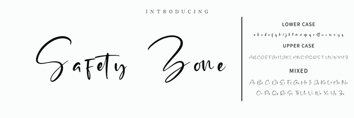 Hand drawn vector alphabet. Modern monoline signature script font. Elegant Signature Font. Best Alphabet Beautiful Calligraphy Signature Font lettering