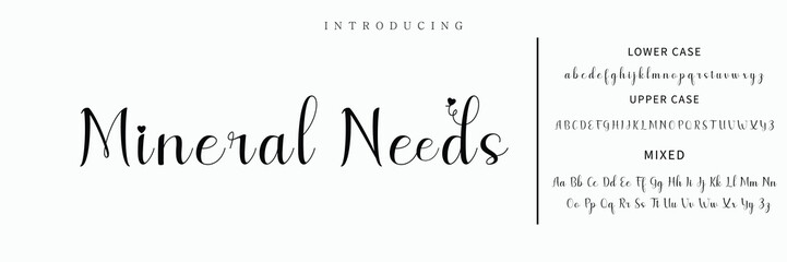 signature Font Calligraphy Logotype Script Brush Font Type Font lettering handwritten