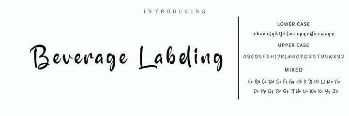 signature Font Calligraphy Logotype Script Brush Font Type Font lettering handwritten