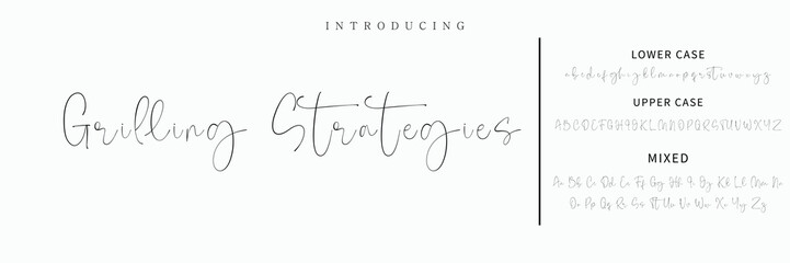 signature Font Calligraphy Logotype Script Brush Font Type Font lettering handwritten
