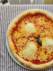 Delicious pizza on white background 