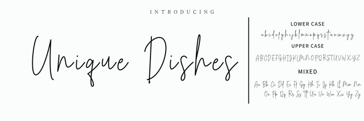 signature Font Calligraphy Logotype Script Brush Font Type Font lettering handwritten