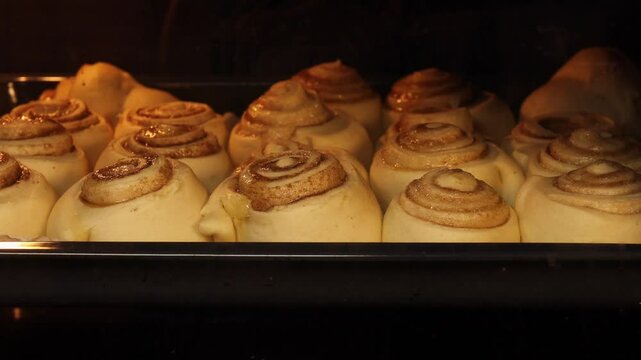 Time-lapse of cinnamon rolls baking in oven. Freshly prepared rolls rising and turning golden brown. Concept of homemade pastries, sweet treats and joy of baking. cozy moments and delicious desserts.
