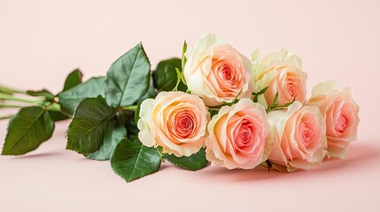 Naklejka premium Pastel rose idea. A beautiful bouquet of pink and cream roses on a soft pink background.