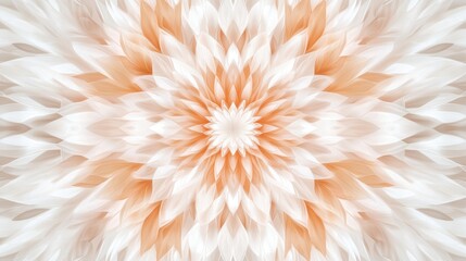 Abstract Peach and White Floral Mandala Design