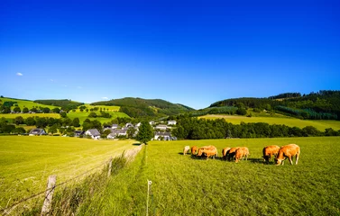 View of the green landscape near Oberhenneborn in the Sauerland. Hiking trails in nature. 