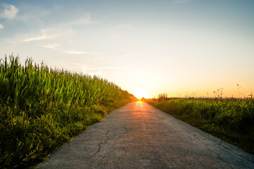 Path through the field in the Möhnetal as the sun sets  © Elly Miller