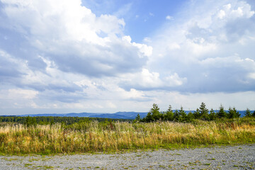 Landscape at the Loermecke tower near Meschede. Nature in the Sauerland.