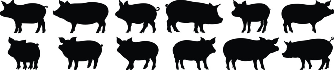 Pig silhouette set vector design big pack of farm illustration and icon