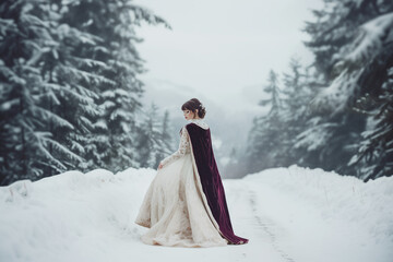 Elegant Bride in Vintage-Inspired Wedding Dress and Velvet Cape Posing Gracefully in Snowy, Romantic Setting