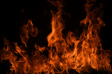 Fire flame. Burn lights on a black background.