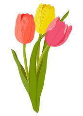 Tulip flower png sticker, colorful realistic illustration on transparent background