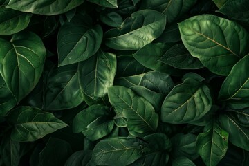 Close up of vibrant green leaves forming a textured, natural background, ideal for nature themed projects
