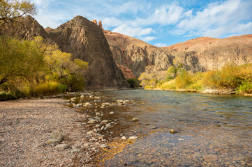 landscape of a mountain river in a mountain gorge with ancient trees and blue bright sky