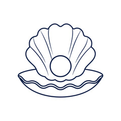 Seashell Line art illustration