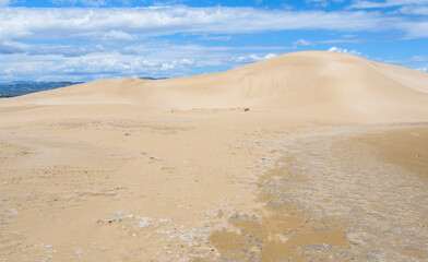 Sand dunes on the beach in Delta del Ebro, Catalonia, Spain
