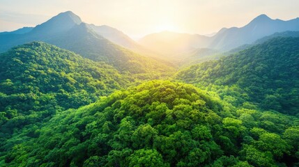 Fototapeta premium Aerial View forest idea. Breathtaking view of lush green mountains under a warm sunrise, showcasing natural beauty.