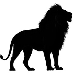 black and white lion