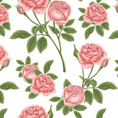 Red rose patterned background  transparent png