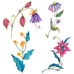 Png colorful watercolor flower sticker set