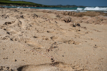 Micro plastic on a beautiful sandy beach of Gallura region in northern Sardinia, Italy