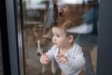 Cute baby boy and Jack Russell terrier dog looking through the patio window. 