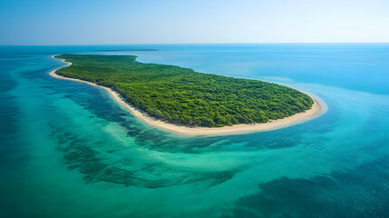 Secluded Tropical Island Paradise: An Aerial View of Unspoiled Beauty