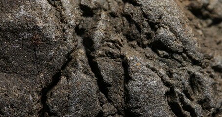 Close-Up of Weathered Rock with Deep Cracks and Rough Texture