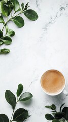 Coffee cup and green leaves on marble.