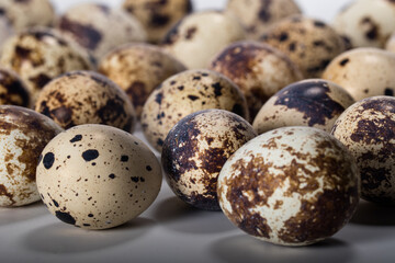 Obraz premium close up of the egg