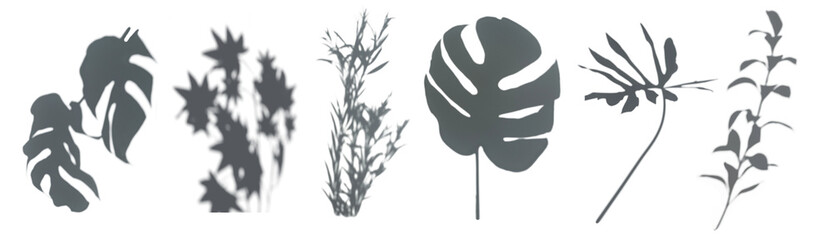 Shadow leaf transparent png cut out element set