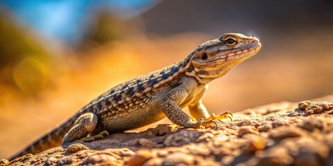 Obraz premium Sun-drenched desert reptile, minimalistic fence framing, wide shot.