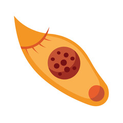 Skin conditions vector illustration