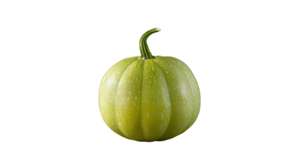 Fresh green pumpkin resting on a clean surface in soft light