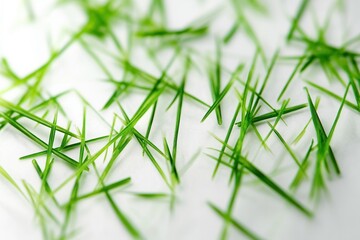 Close-Up Capture of Scattered Green Needles on a Seamless White Background in Sharp Macro Lighting for Artistic Representation
