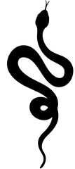 snake in the form of a snake