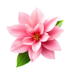 Beautiful pink flower with delicate petals and green leaves on a white isolated background.