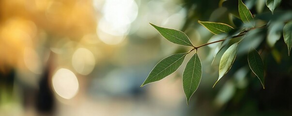 Obraz premium Blurred bokeh idea. Close-up of green leaves against a softly blurred background, symbolizing nature's beauty.