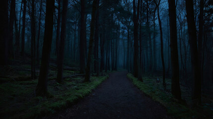 Obraz premium Dark Forest Path at Night