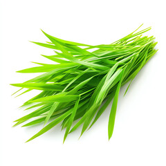 Fototapeta premium Fresh green grass bunch, perfect for nature themes. Isolated on white background for versatile use.