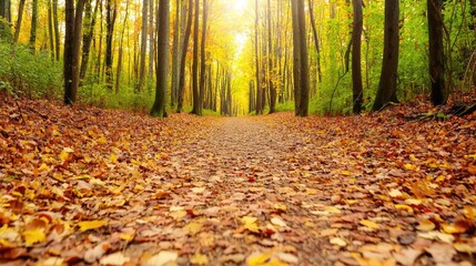 Obraz premium Autumn forest concept. A serene path through a vibrant autumn forest, covered in colorful fallen leaves.